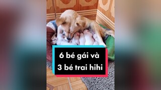 Số bé gái áp đảo rồi. Hihi.  cunyeucuadua chó chócon chókhôn chócute