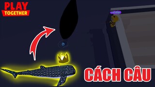 Khung Giờ Săn Cá Nhám Voi Chuẩn Nhất, TVT May Mắn Dính Siêu Phẩm B5 VM Kìa | Play Together