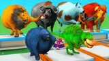 Choose The Correct Food Challenge Wild Animals Fat 2 Fit Cow Dinosaur Elephant Gorilla Game Funny