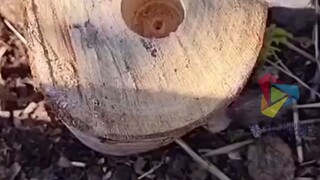 Hanya dalam 13 detik, dia menunjukkan aksinya padaku sebanyak tiga kali!