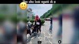 Tha cho loài người đi ạ #meme