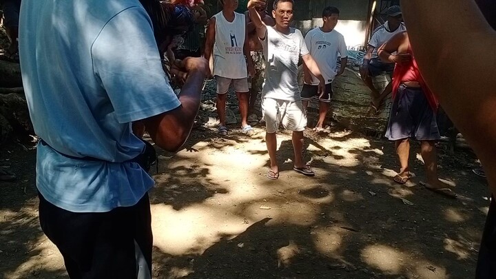 puti ang talinga lose