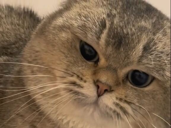 อย่าแคะฉันนะ!!!