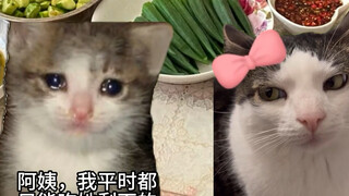 เมื่อฉันแสร้งทำเป็นถูกแฟนสาวทารุณในสายตาพ่อแม่สามีในอนาคต