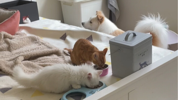 Masih tidak bisa tidur di lantai, ini adalah kali kedua dalam hidup saya saya terserang flu.