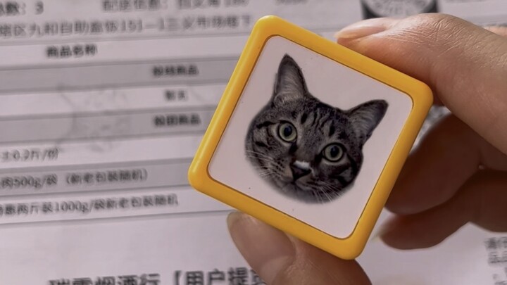 With it, Wangcai's portrait frequently appears in my son's homework book...