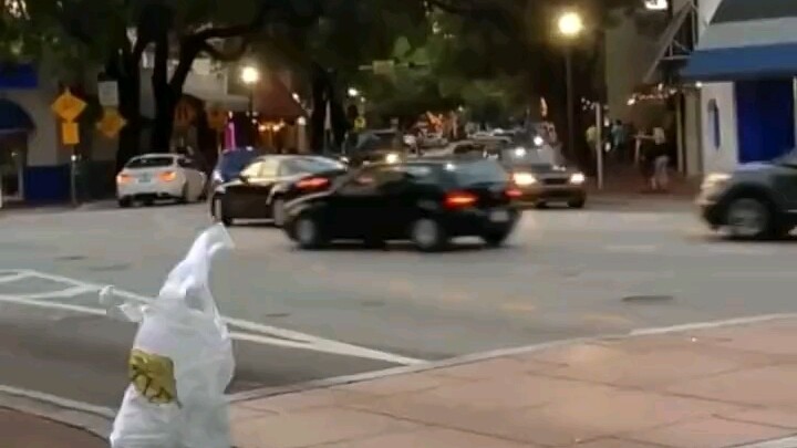 Hai, jiwa yang menyenangkan!