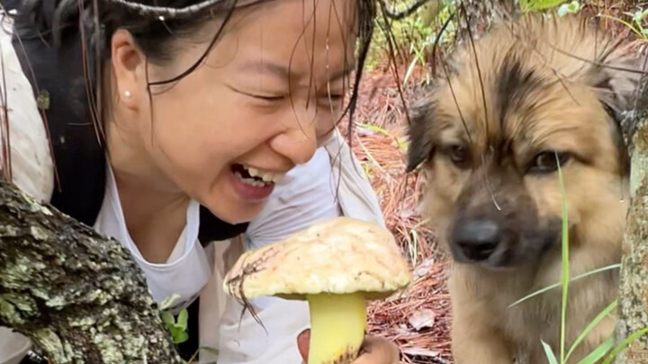 [Mushroom Dog’s Silly Moments] The latest video is now live—come check it out!