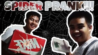 TARANTULA PRANK!!! | KALAKI NUNG TARANTULA HAHA!