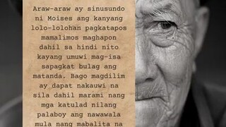 📻 Ang Nawawalang Apo : THS