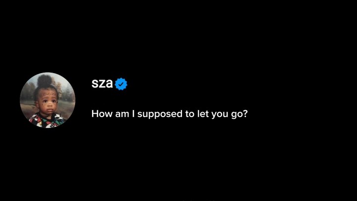 SZA - NOBODY GETS ME (lyrics)