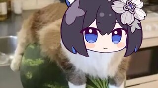 Hình treo Honkai Impact 3(29)