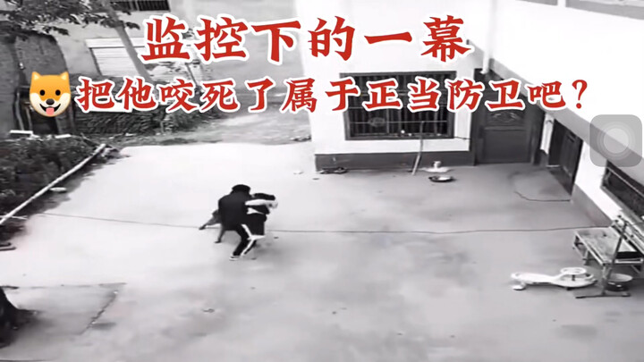 Kayaknya kalau anjing bertindak membela diri, boleh dong dapat tambahan ayam?