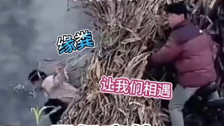 It was an accident that fate brought us together through poop.