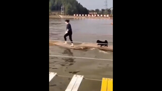 Anak anjing mengikuti tuannya melayang di atas air, langkahnya stabil, gerakannya berulang, memberik