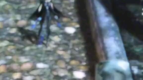 bayonetta_bayonetta2
