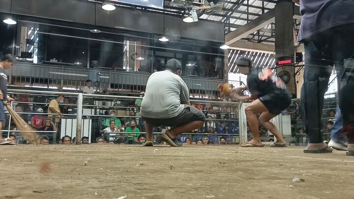 2xwin bulik signature line 🐓