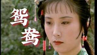 【87版红楼梦】鸳鸯-“一辈子不嫁男人又怎么样 乐得干净呢。”