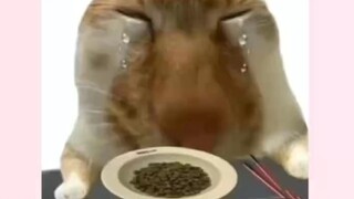 People still need to eat food cooked with that authentic wok hei flavor.