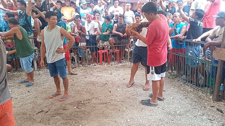 man hater bulik win  pangkoy gf 🐓🐓🐓