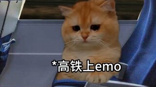 Không nỡ là lời nói dối của em