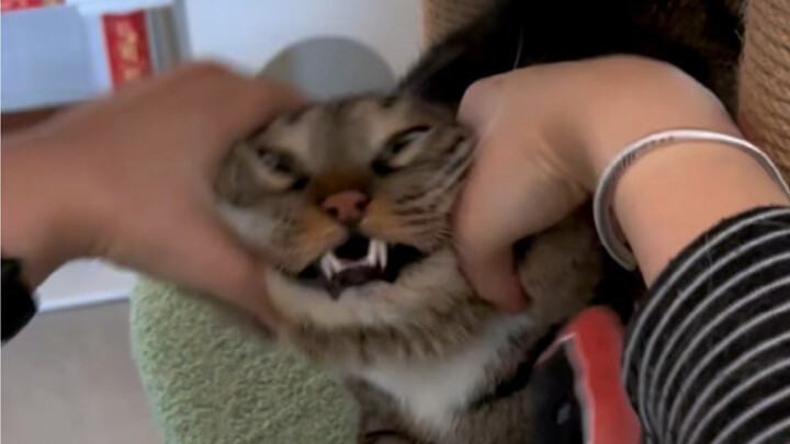 Learning from a Master