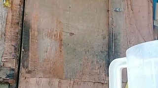Part 4 vlog in Bilibili