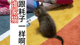 You've grown up; you need to learn how to sleep alone!