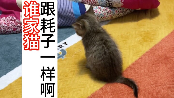 Kamu sudah dewasa, harus belajar tidur sendiri!