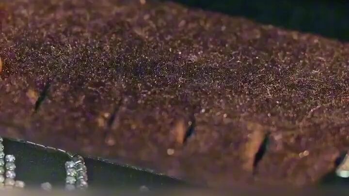 Gu Zijing & Qi Yi..Dari Cinta Sepihak Jadi Terjebak dalam Perjodohan Tak Terduga!