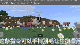 Share Minecraft some friendly instructions