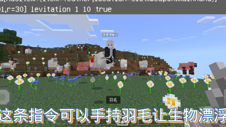 分享我的世界一些友尽指令