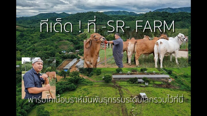 ✅ ทีเด็ด ที่ SR FARM - ศุภิสราฟาร์ม ปี 2022  [อ.บึงสามพัน จ.เพชรบูรณ์]