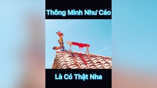 Học Kinh Doanh Như Cáo Nhanh Giầu phim phimhoathinh phimhay phimhaymoinhat phimtrungquoc phimhaytiktok