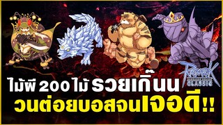 Ragnarok Classic GGT l หักไม้ผี 200 ไม้ แถมด้วยไม้บอส+ล่าบอสจนเจอดีเข้าให้ 55+ !!