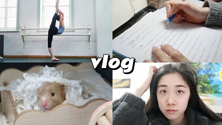 「舞蹈生vlog」又学文化又练专业的一天/上网课