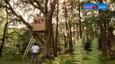 บ้านต้นไม้1