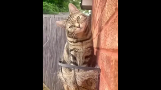 ถ้าคุณมองไม่ทันให้ดูใหม่🤣