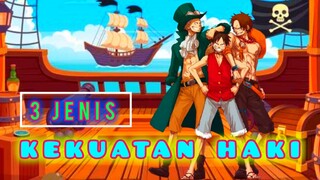 🔵3 Jenis Kekuatan Haki || Review⁉️