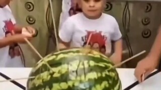 جسد قرع اليقطين المقدس الفطري