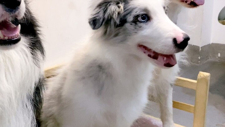 Keluarga Bahagia Tiga Anggota