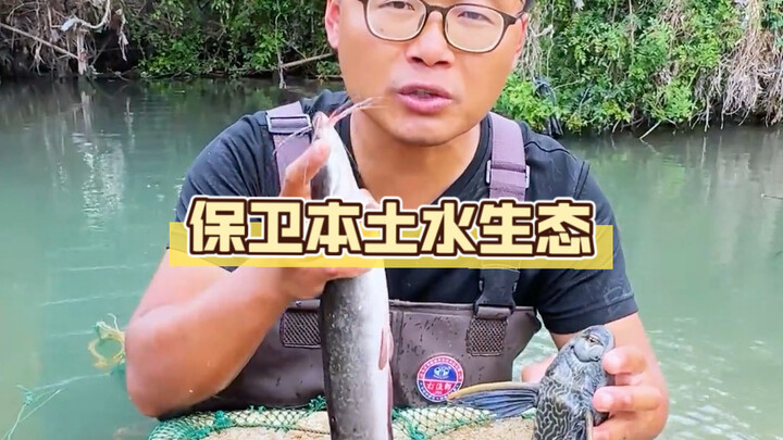 Không ngờ lại “vỡ mạng” khi món ngon trên bàn ăn đụng phải giới hạn đỏ về môi trường sinh thái: Sự k