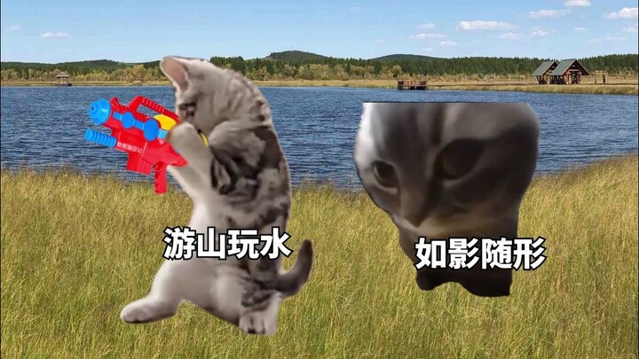 Using cat memes to tell the story of Ruyi's life in history (Part 1)