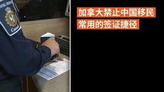 加拿大禁止中国移民常用的签证捷径