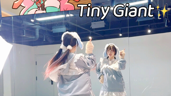I’m totally cheering for Miss Zhao! Ainsley’s insane mirror-flip cover of “Tiny Giant”!