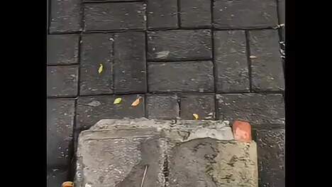 Cái cú rung cuối cùng thật là hình tượng! Follow và like lẫn nhau nhé!