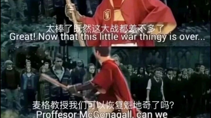 #哈利波特梗图2