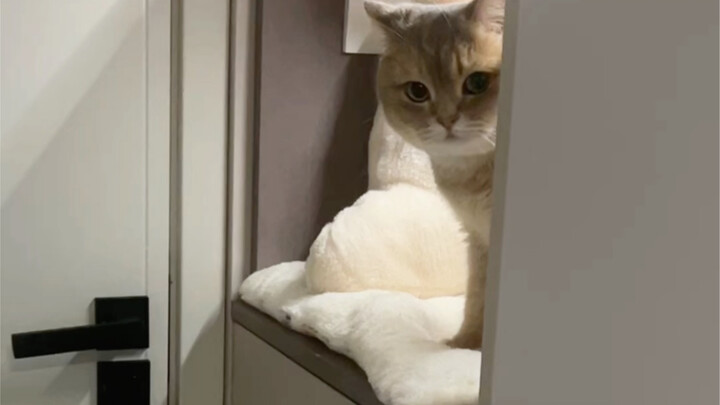 Chúc mừng Giao Thừa!