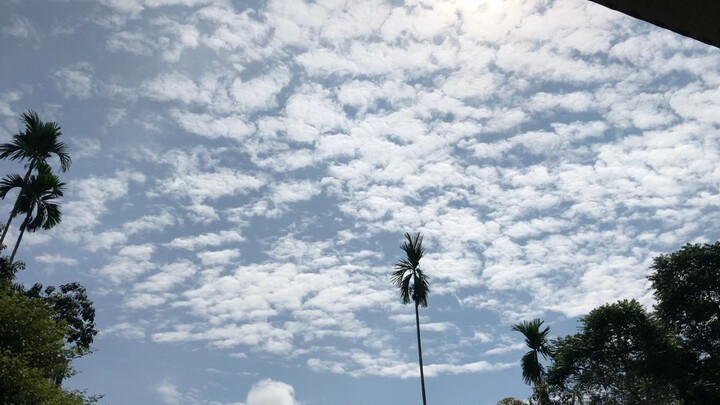 The sky reminds me how small I am, yet how great Allah’s mercy is 🌌✨