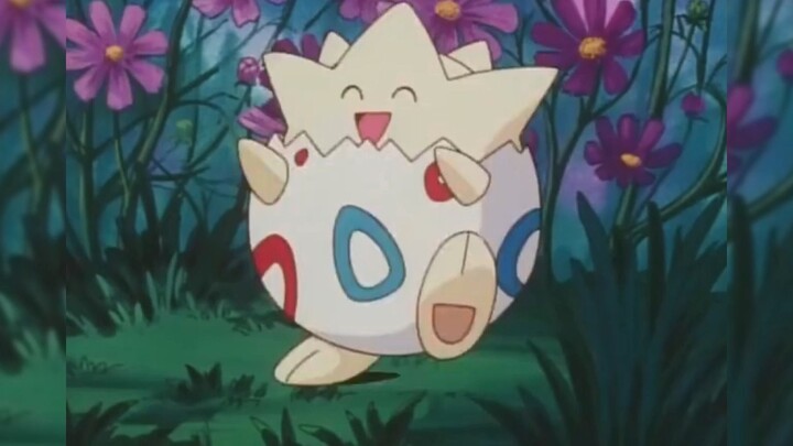 Pokémon丨Bạn có muốn mang Togepi dễ thương này đi không?